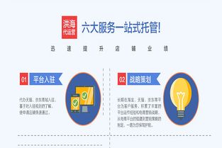 洛陽乾嵐科技與拼奔科技 拼多多代運營服務靠譜性深度解析
